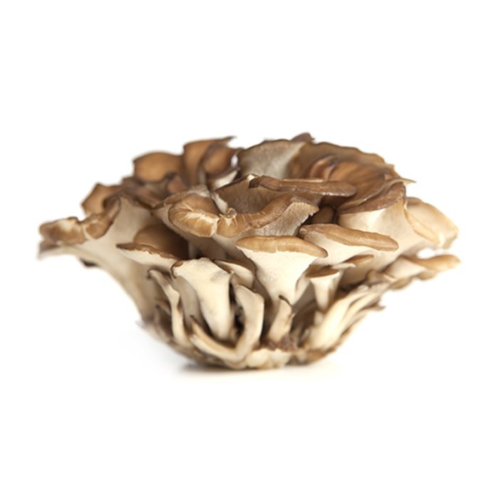 Specialty Mushrooms, fresh Specialty Mushrooms, mushrooms, Farm fresh Specialty mushrooms, Pesticide-free Farming,Organic Mushrooms, quality mushrooms, fresh Specialty Mushrooms in the United States, Mushrooms in the United States, florece farm, florece farms, florece farms US, florece farm US, florece farms rico, florece farms Puerto Rico, florece farms mushrooms, fresh Specialty Mushrooms Purveyor