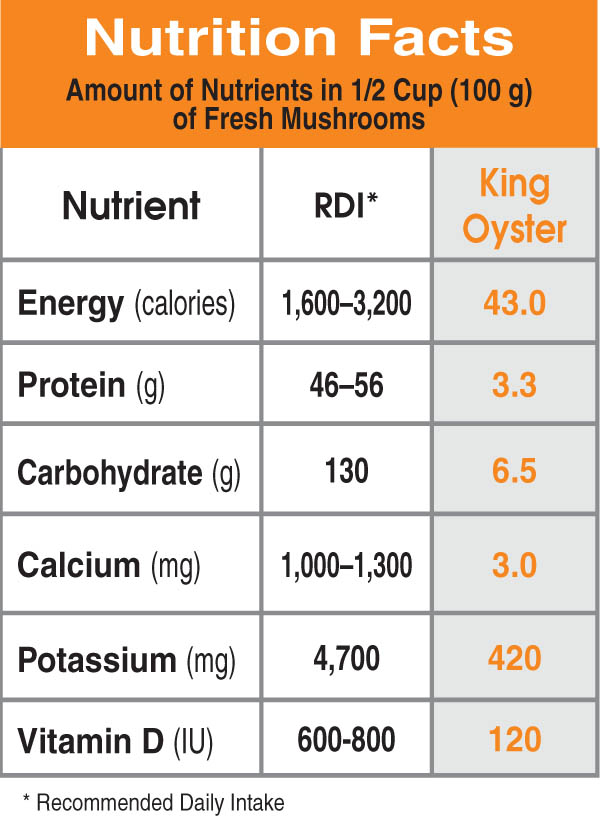 Specialty Mushrooms, fresh Specialty Mushrooms, mushrooms, Farm fresh Specialty mushrooms, Pesticide-free Farming,Organic Mushrooms, quality mushrooms, fresh Specialty Mushrooms in the United States, Mushrooms in the United States, florece farm, florece farms, florece farms US, florece farm US, florece farms rico, florece farms Puerto Rico, florece farms mushrooms, fresh Specialty Mushrooms Purveyor