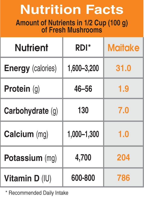 Specialty Mushrooms, fresh Specialty Mushrooms, mushrooms, Farm fresh Specialty mushrooms, Pesticide-free Farming,Organic Mushrooms, quality mushrooms, fresh Specialty Mushrooms in the United States, Mushrooms in the United States, florece farm, florece farms, florece farms US, florece farm US, florece farms rico, florece farms Puerto Rico, florece farms mushrooms, fresh Specialty Mushrooms Purveyor