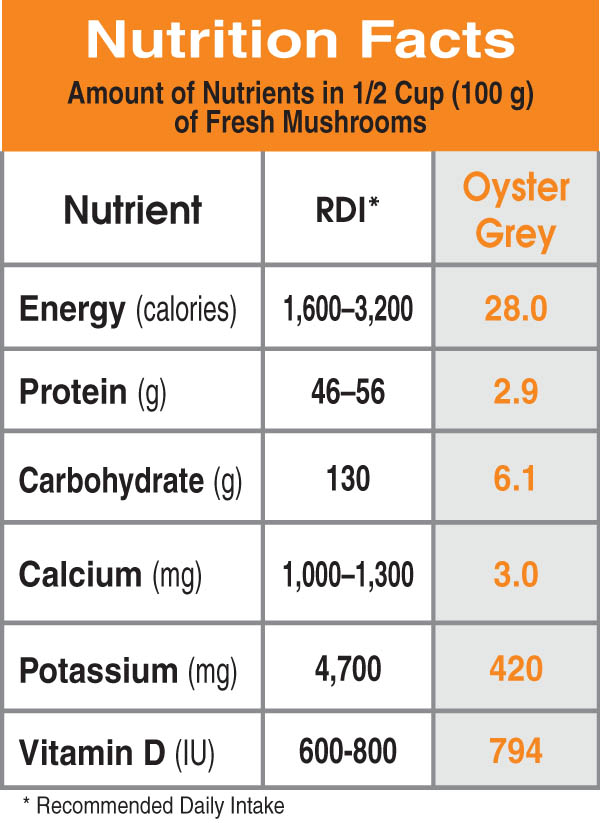 Specialty Mushrooms, fresh Specialty Mushrooms, mushrooms, Farm fresh Specialty mushrooms, Pesticide-free Farming,Organic Mushrooms, quality mushrooms, fresh Specialty Mushrooms in the United States, Mushrooms in the United States, florece farm, florece farms, florece farms US, florece farm US, florece farms rico, florece farms Puerto Rico, florece farms mushrooms, fresh Specialty Mushrooms Purveyor