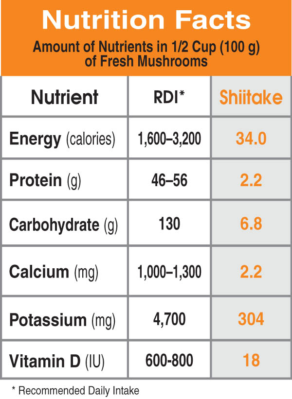 Specialty Mushrooms, fresh Specialty Mushrooms, mushrooms, Farm fresh Specialty mushrooms, Pesticide-free Farming,Organic Mushrooms, quality mushrooms, fresh Specialty Mushrooms in the United States, Mushrooms in the United States, florece farm, florece farms, florece farms US, florece farm US, florece farms rico, florece farms Puerto Rico, florece farms mushrooms, fresh Specialty Mushrooms Purveyor